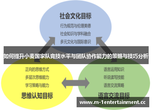 如何提升小麦国家队竞技水平与团队协作能力的策略与技巧分析