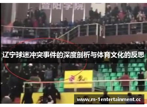 辽宁球迷冲突事件的深度剖析与体育文化的反思 辽宁球迷冲突事件的深度剖析与体育文化的反思